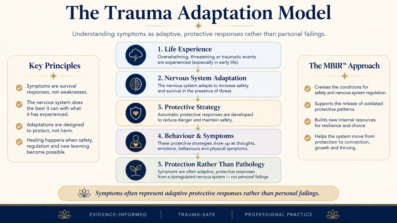 Trauma Adaptation Model illustrating how nervous system adaptations develop into protective strategies and behaviours designed to maintain safety.