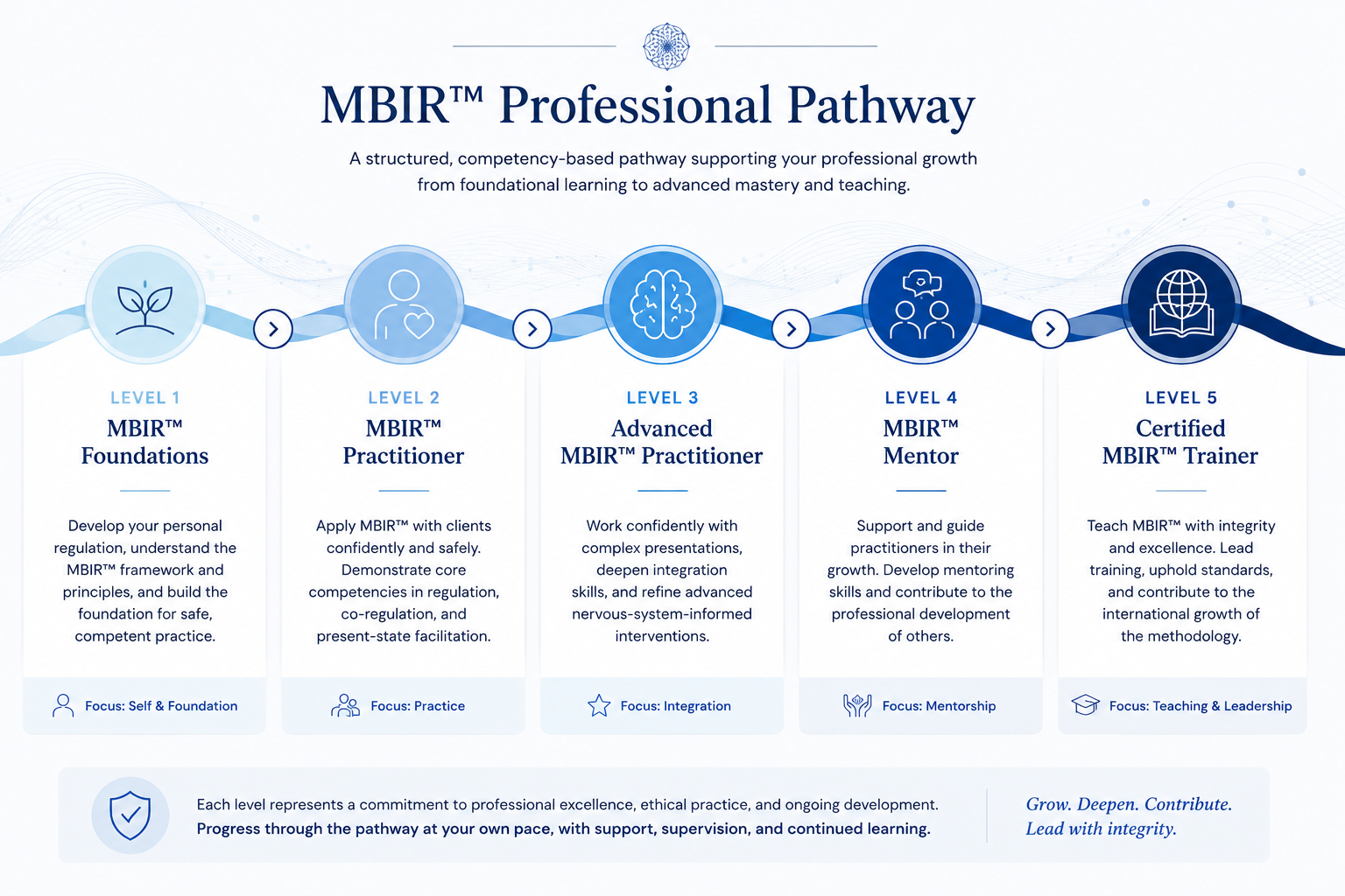 MBIR Professional Pathway certification graphic showing five levels from foundations to certified trainer.