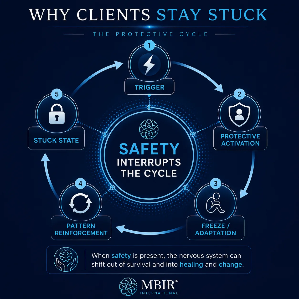 Circular MBIR infographic showing the protective cycle: trigger, protective activation, freeze adaptation, pattern reinforcement, and stuck state, with safety interrupting the cycle.