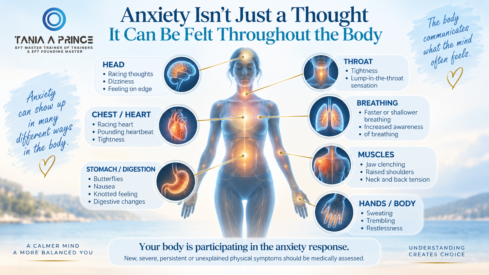 Where Anxiety Can Be Felt in the Body Diagram showing where physical symptoms of anxiety can be felt throughout the body