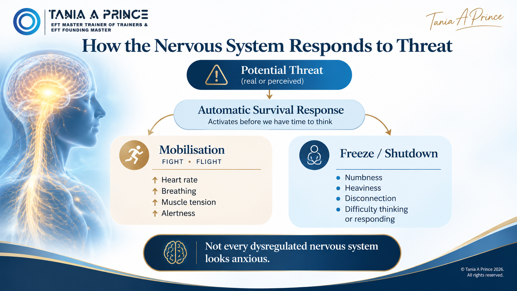 Diagram showing nervous system responses to threat including fight, flight, freeze and shutdown