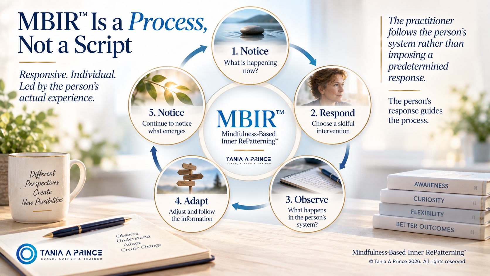 MBIR™️ process showing notice, respond, observe, adapt and continue noticing