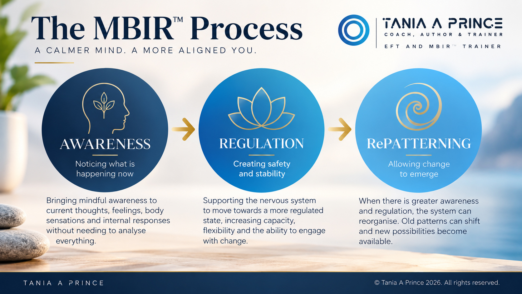 The MBIR™️ process: Awareness, Regulation and RePatterning