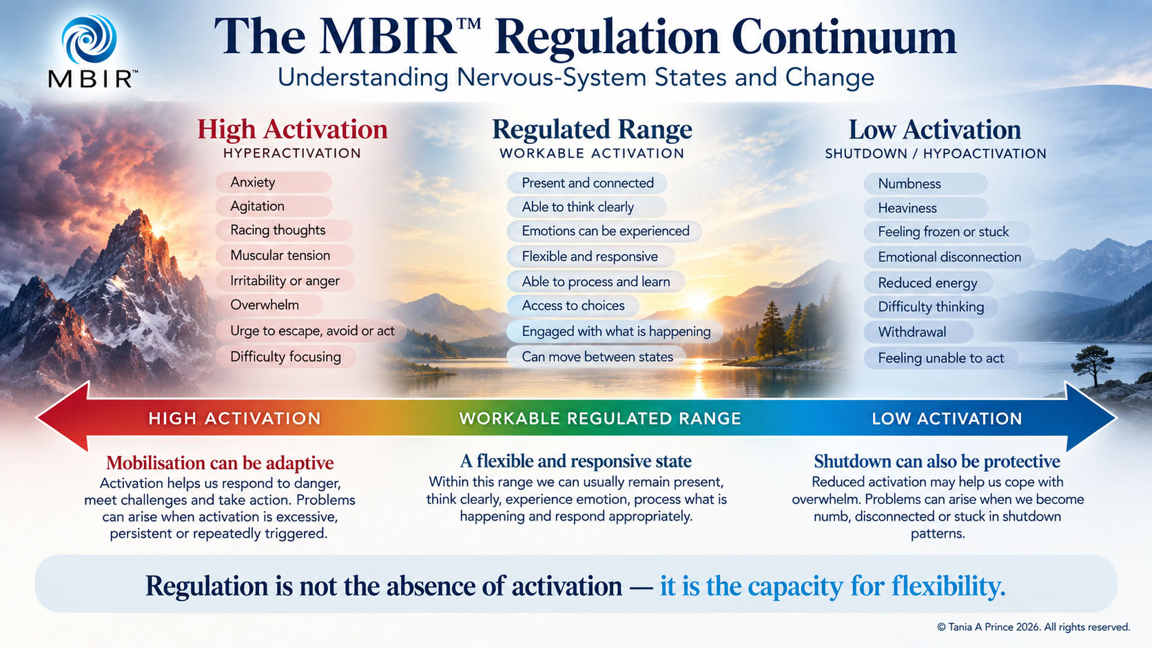 The MBIR™️ Regulation Continuum The MBIR™️ Regulation Continuum showing high activation, a workable regulated range and low activation