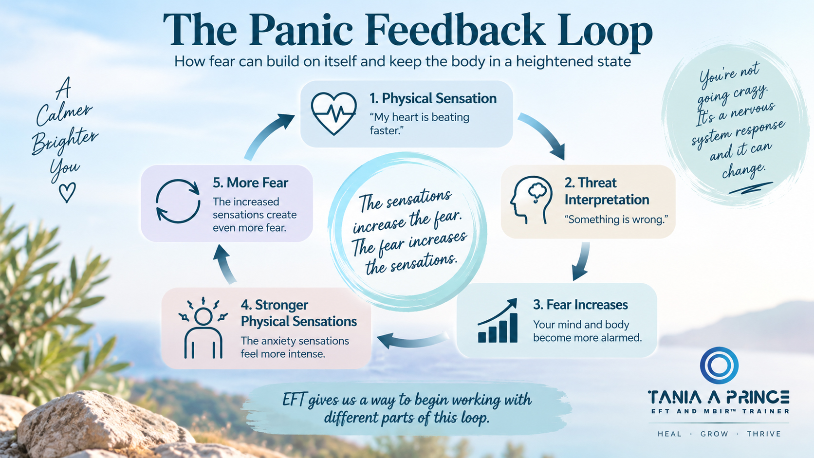 The Panic Feedback Loop Panic feedback loop showing how physical sensations, threat interpretation and increasing fear can intensify panic