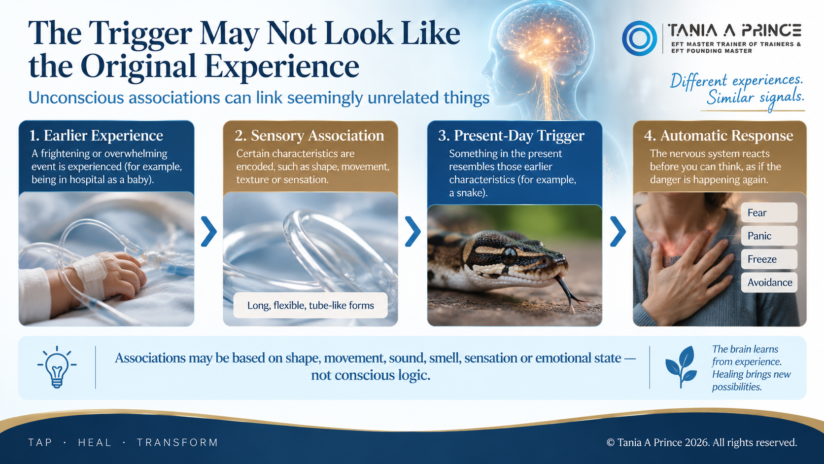 Example showing how an earlier hospital experience and sensory association may become connected with a later snake trigger